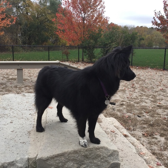 Meet your Posher, Donna - Picture 2 of 5